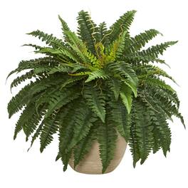 BreeBe - 22" Boston Fern Artificial Plant in Sandstone Planter - Green