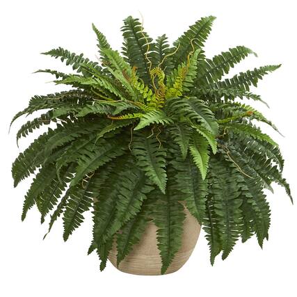 Front. BreeBe - 22" Boston Fern Artificial Plant in Sandstone Planter - Green.