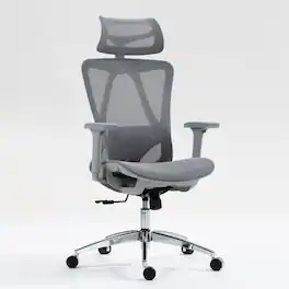 GOODSILO - Ergonomic Mesh Office Chair with Adjustable Lumbar Support & 3D Armrests - Gray