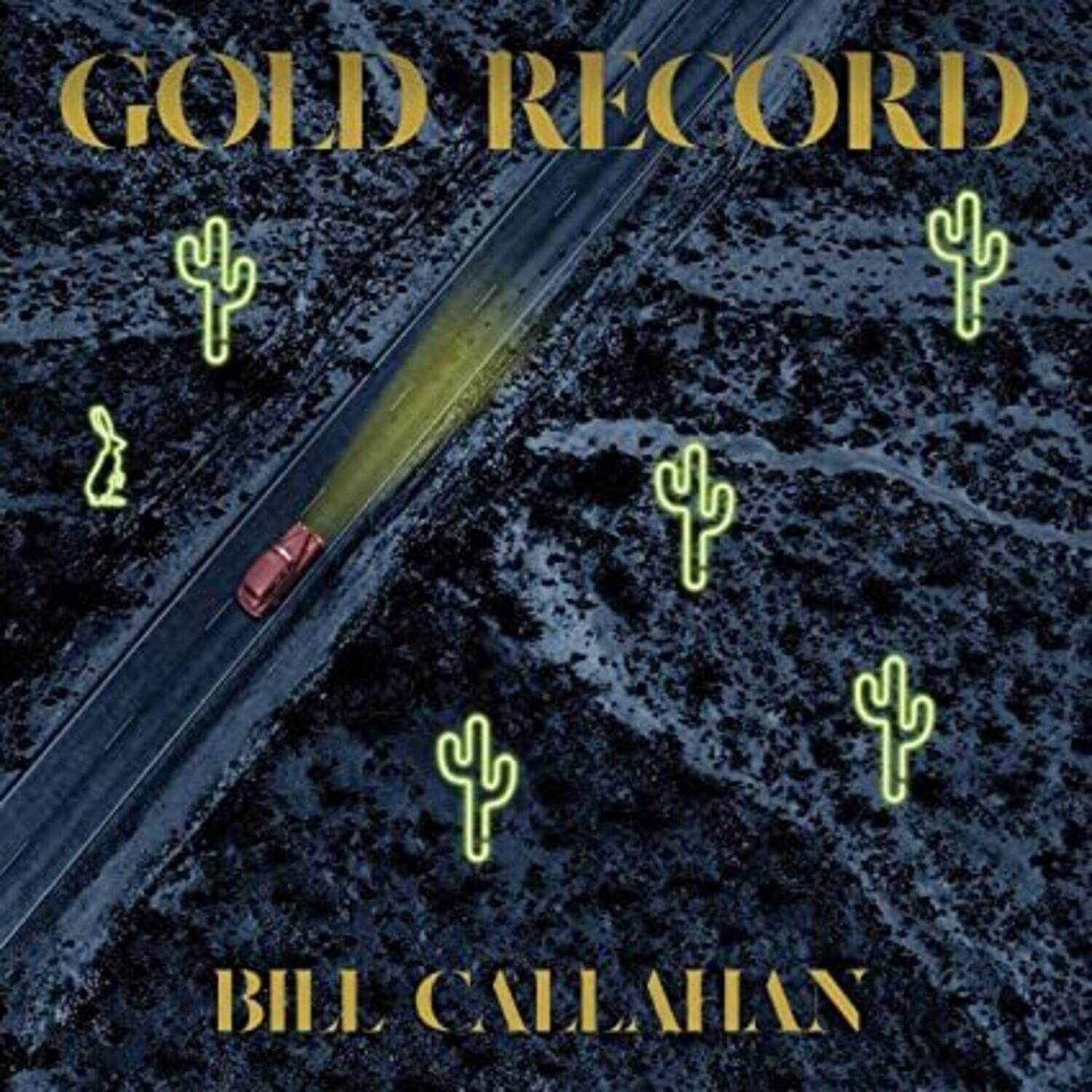 Bill Callahan - Gold Record   - COMPACT DISCS [CD] price history on PriceWatchPro