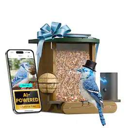 BIRDFY - Smart Bird Feeder Cedar D with Solar Panel, 1080P Camera, Lifetime Free AI Bird ID, Slow Motion, Night Vision, Durable - Brown