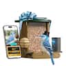 BIRDFY - Smart Bird Feeder Cedar D with Solar Panel, 1080P Camera, Lifetime Free AI Bird ID, Slow Motion, Night Vision, Durable - Brown
