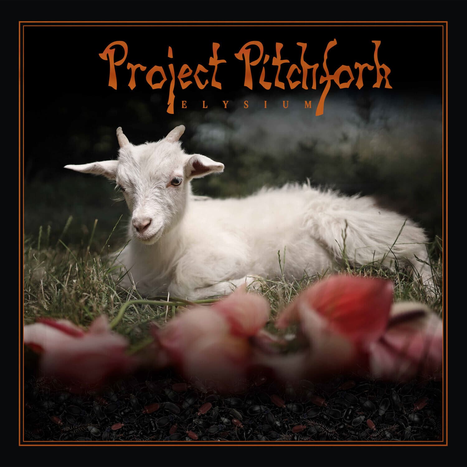 Project Pitchfork - Elysium   - COMPACT DISCS [CD] price history on PriceWatchPro