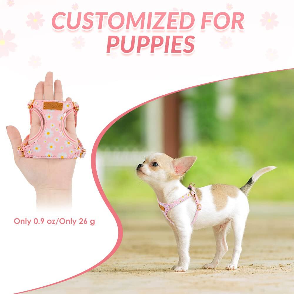 CUSTOMIZED FOR PUPPIES

Only 0.9 oz/Only 26 g