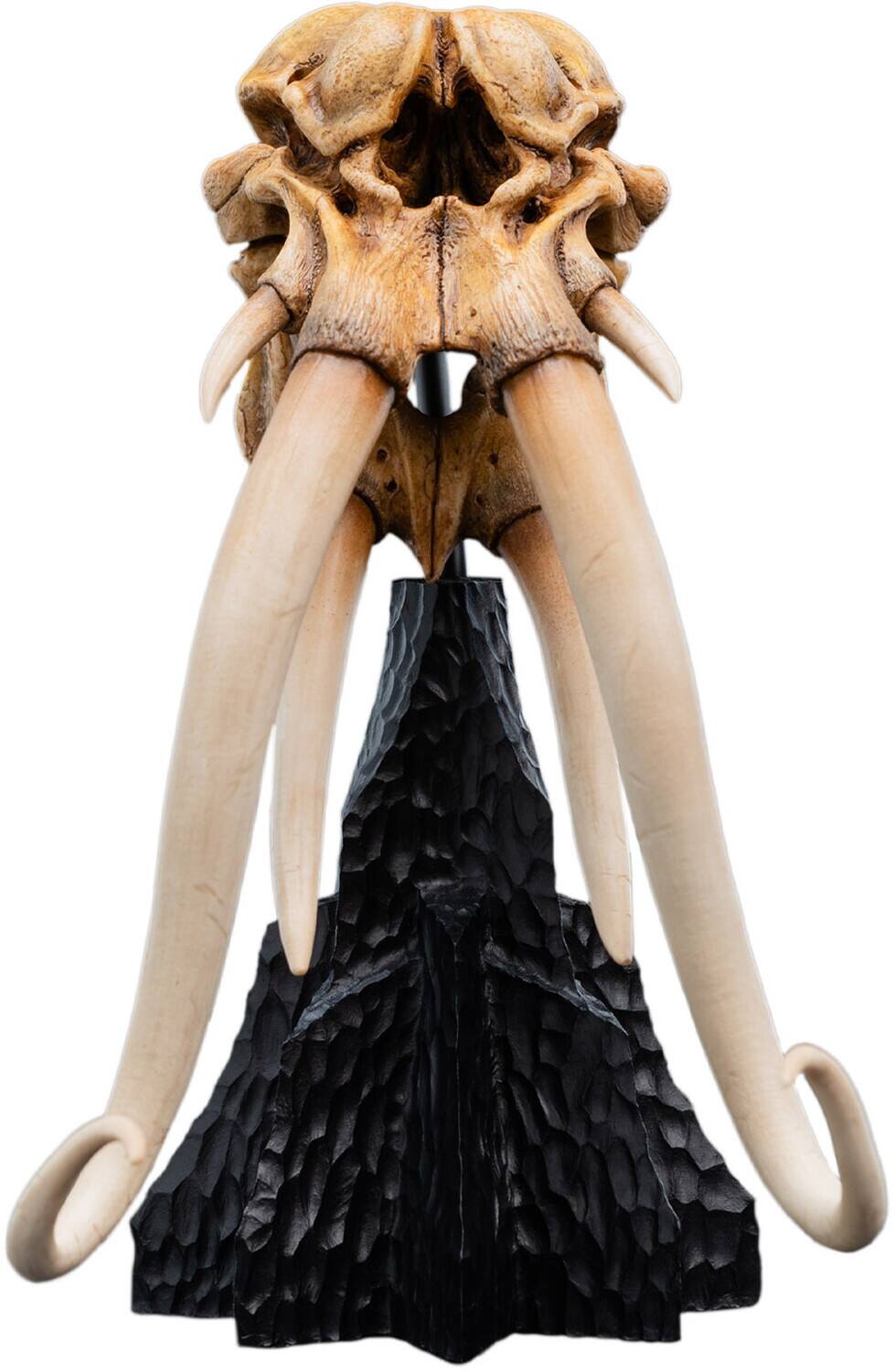 WETA Workshop Polystone - The Lord of the Rings Trilogy - Skull of a Mumak Miniature Statue - COLLECTIBLES