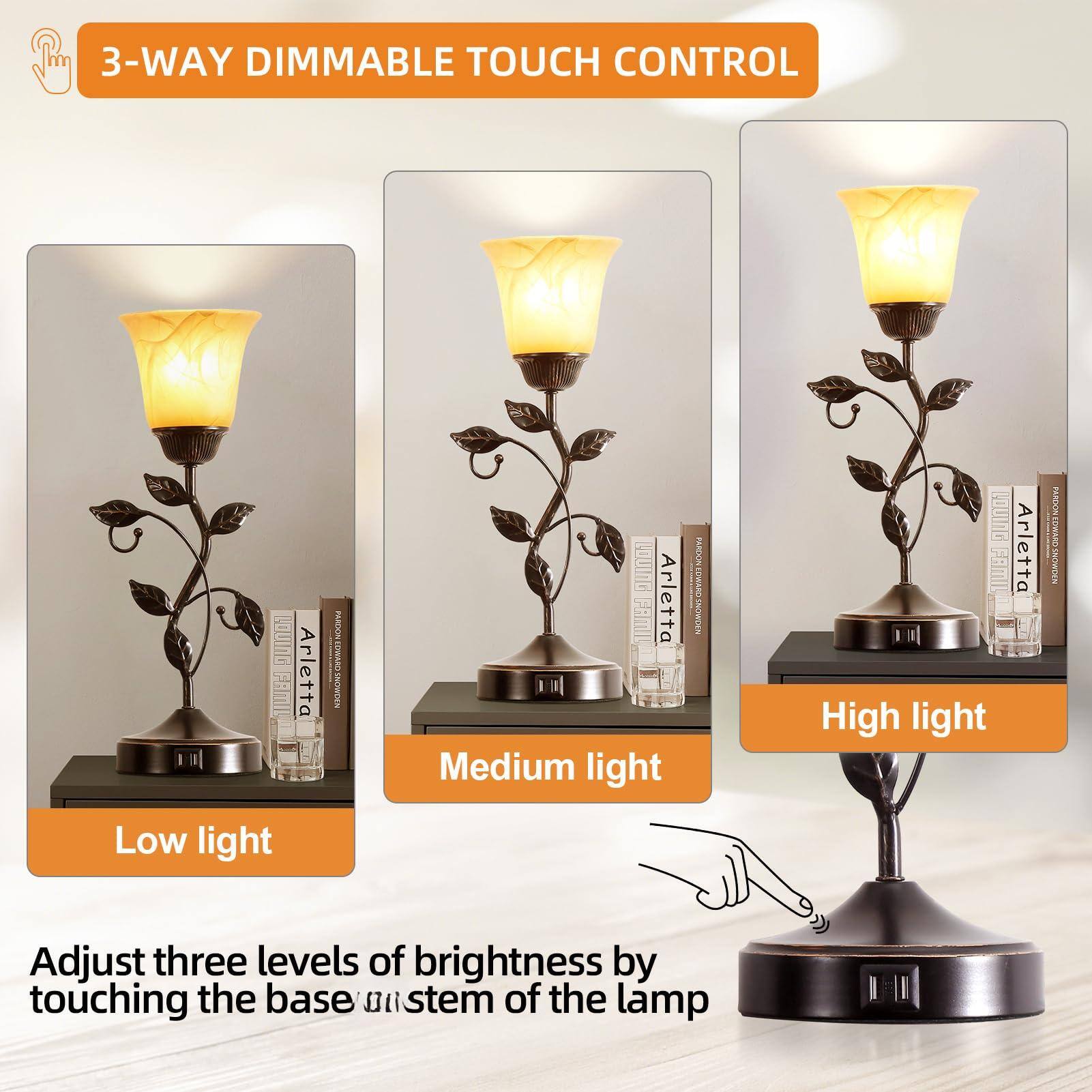 3-WAY DIMMABLE TOUCH CONTROL

Low light  
Medium light  
High light  

Adjust three levels of brightness by touching the base or stem of the lamp