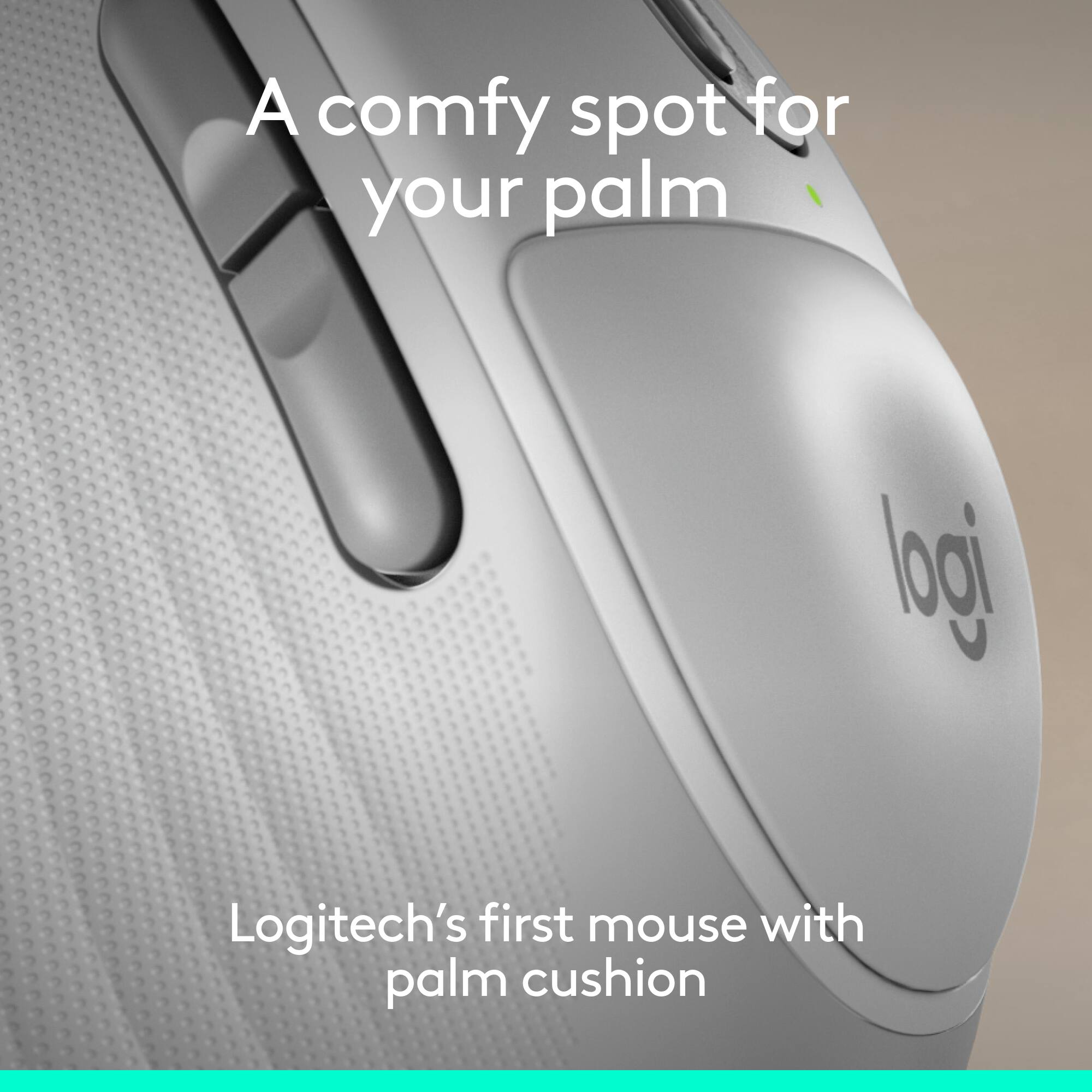 A comfy spot for your palm

Logitech's first mouse with palm cushion