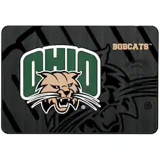 OHIO
BOBCATS™
FAST CHARGE