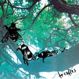 Treadles - Bees Are Thieves Too - CASSETTES