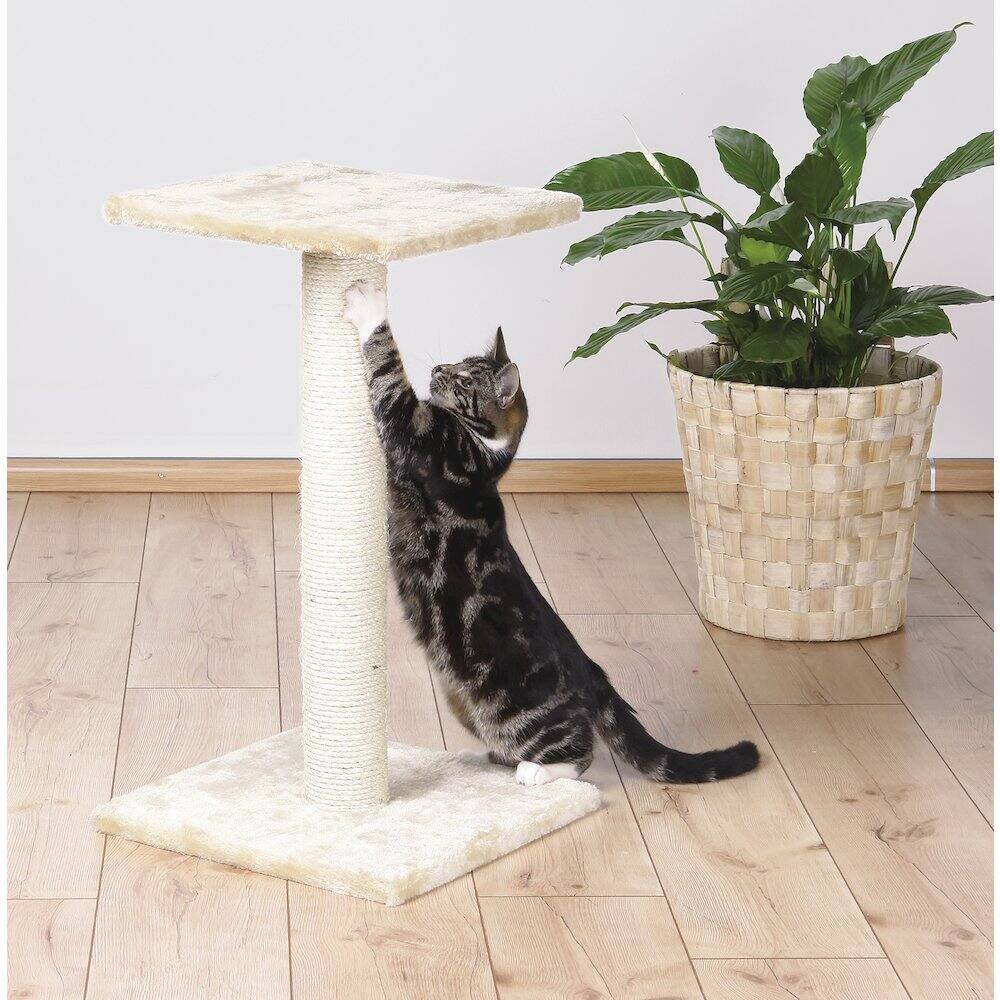Angle. TRIXIE - Espejo Sisal Cat Scratching Post with Plush Platform - Beige.