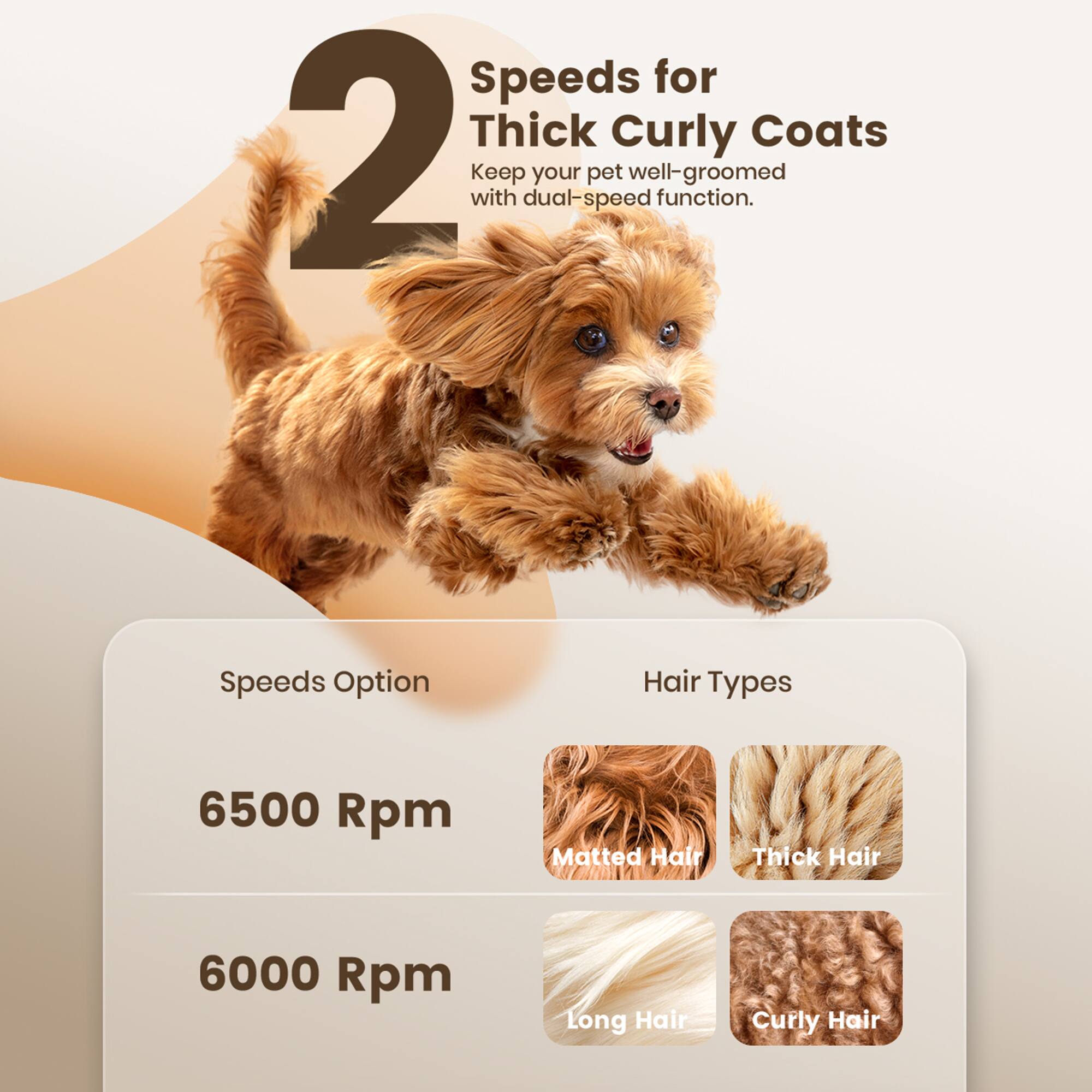 Speeds for Thick Curly Coats  
Keep your pet well-groomed with dual-speed function.

Speeds Option | Hair Types  
6500 Rpm | Matted Hair, Thick Hair  
6000 Rpm | Long Hair, Curly Hair