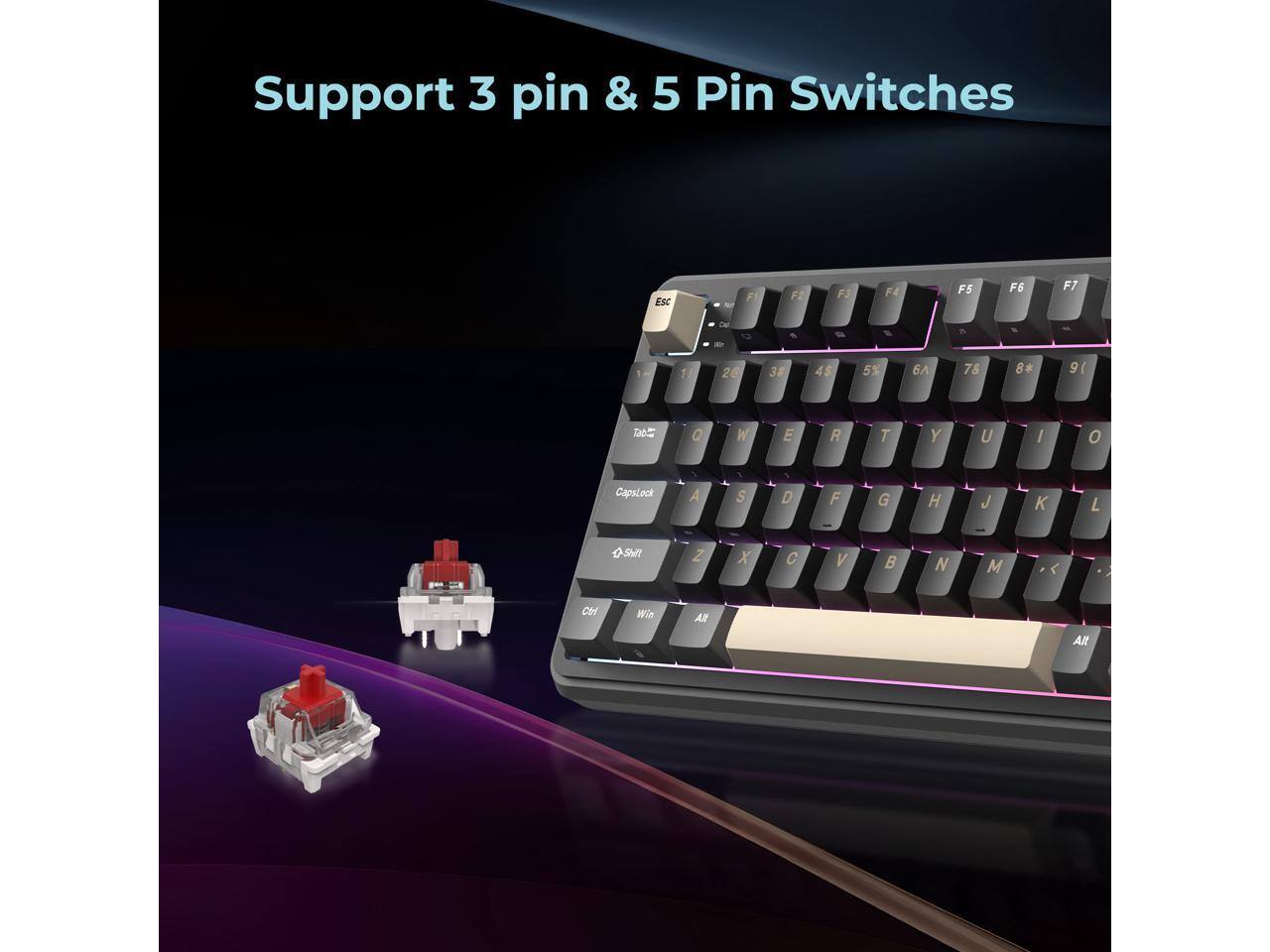 Support 3 pin & 5 Pin Switches