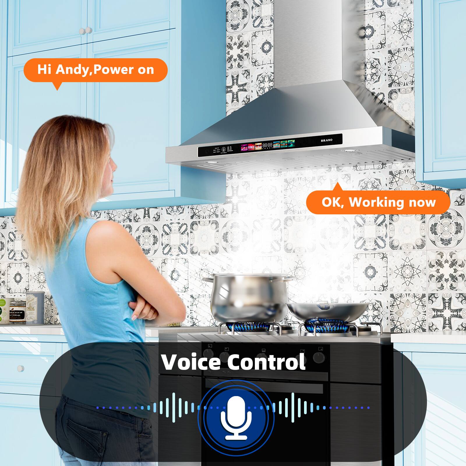 Hi Andy, Power on

OK, Working now

Voice Control