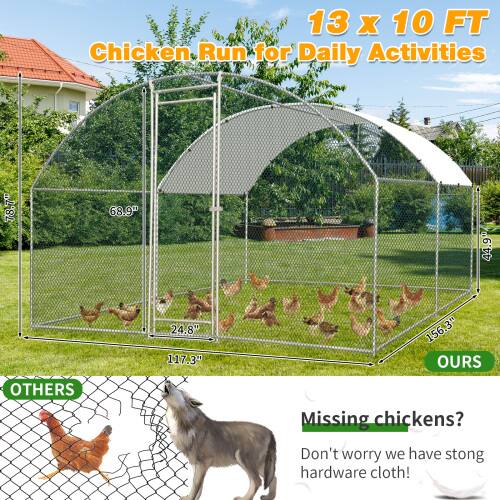 13 x 10 FT Chicken Run for Daily Activities

78.7" 68.9" 44.9" 24.8" 117.3" 156.3"

OURS

OTHERS

Missing chickens? Don't worry we have strong hardware cloth!