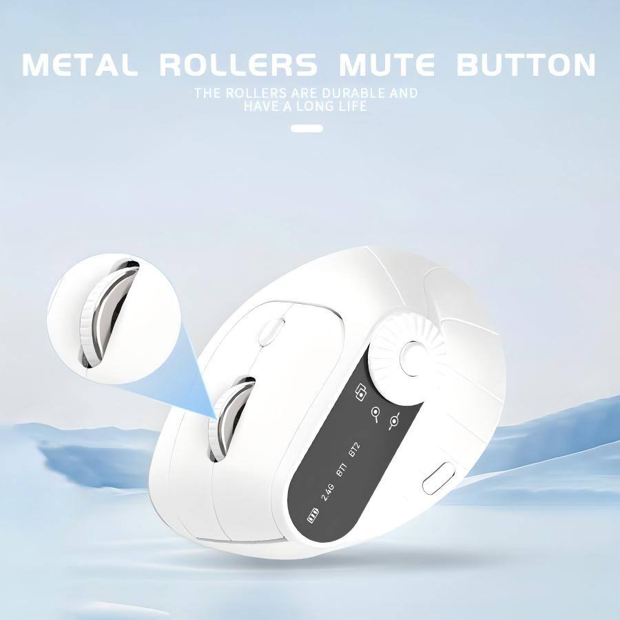 METAL ROLLERS MUTE BUTTON  
THE ROLLERS ARE DURABLE AND HAVE A LONG LIFE  
BT 2.4G