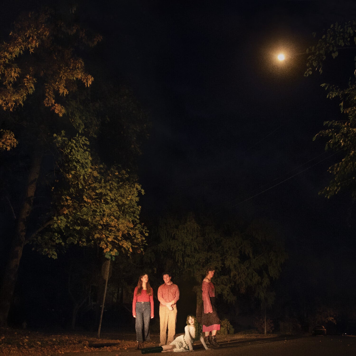 Ophelias - Spring Grove   - VINYL LP price history on PriceWatchPro