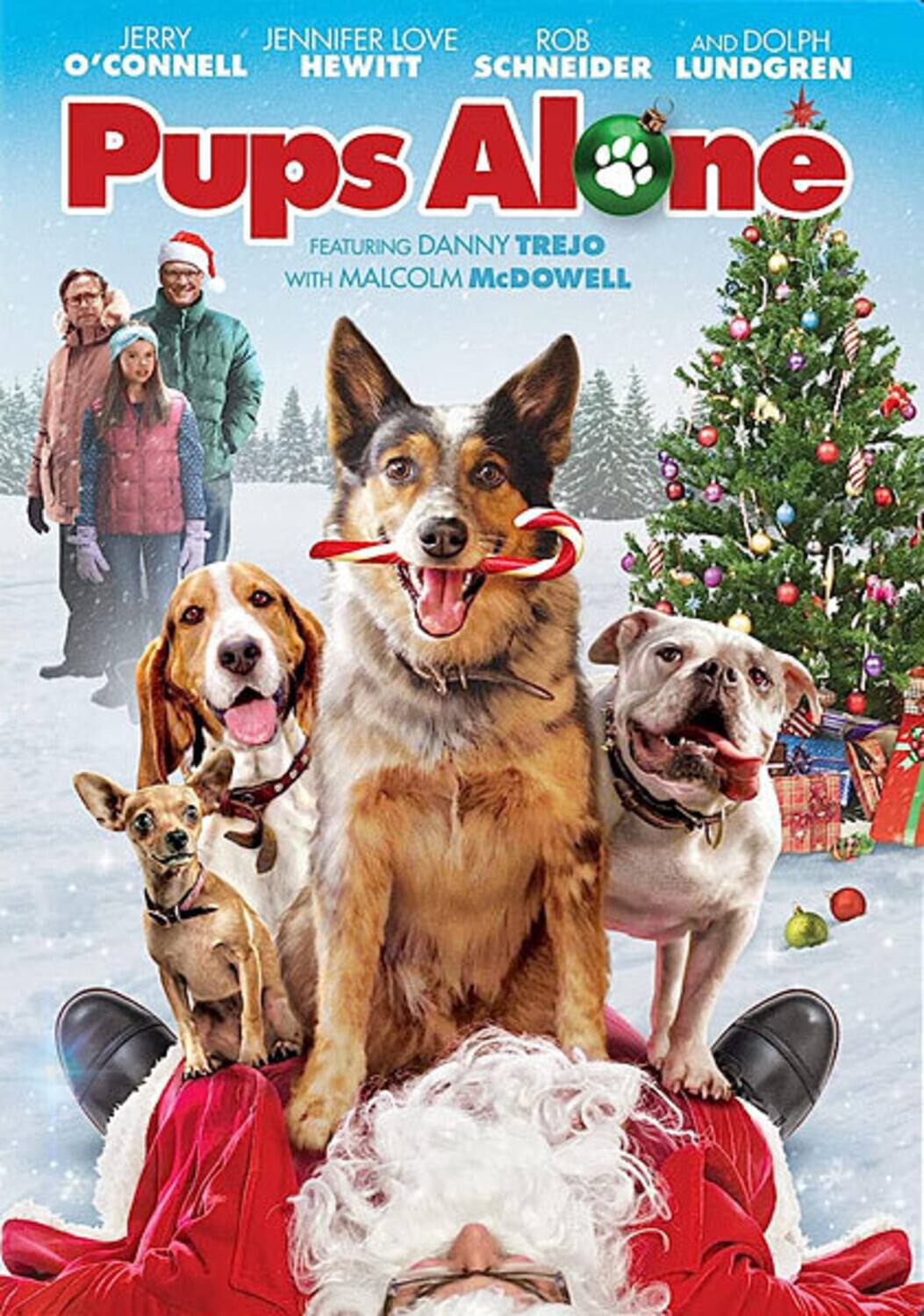 Pups Alone - DVD