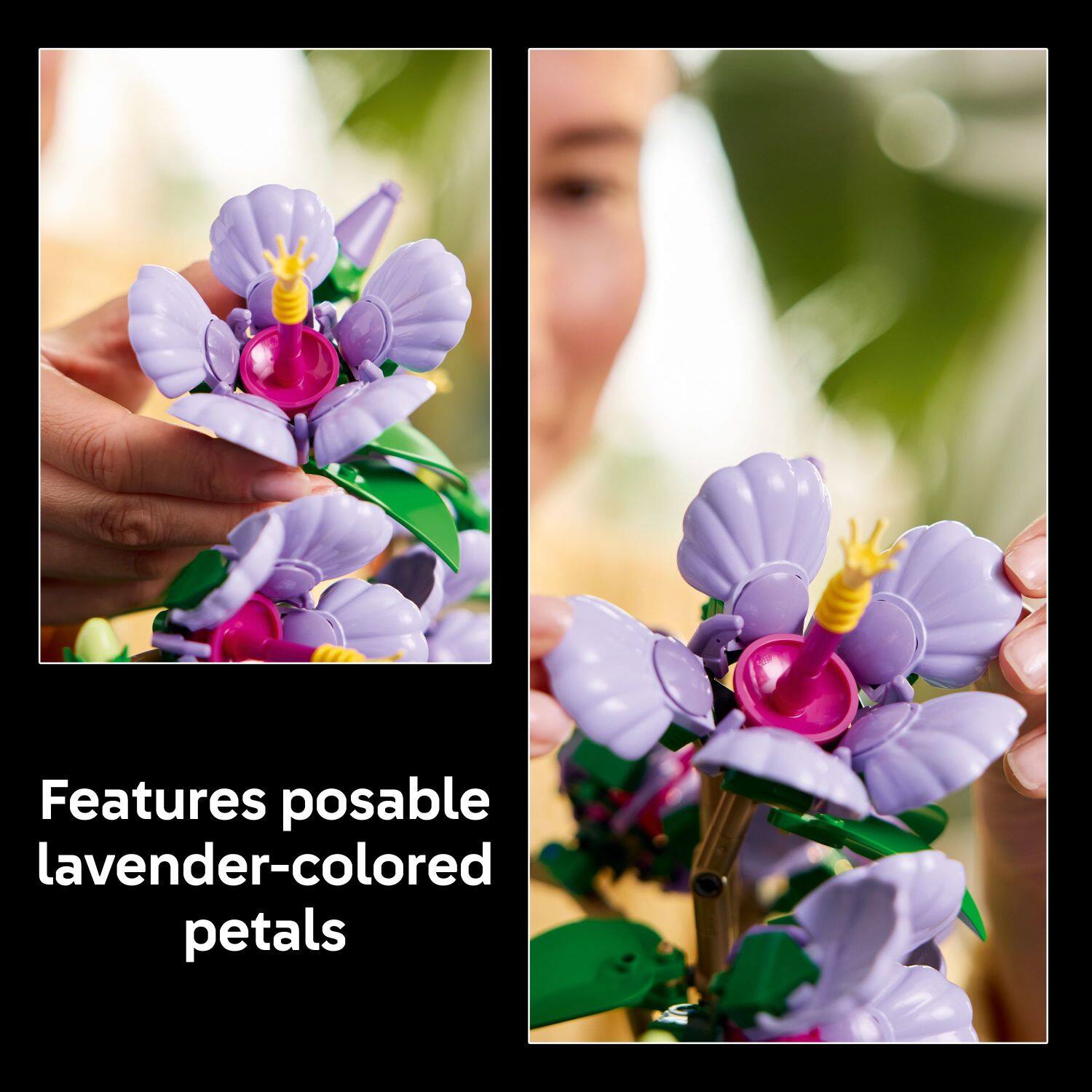 Features posable lavender-colored petals