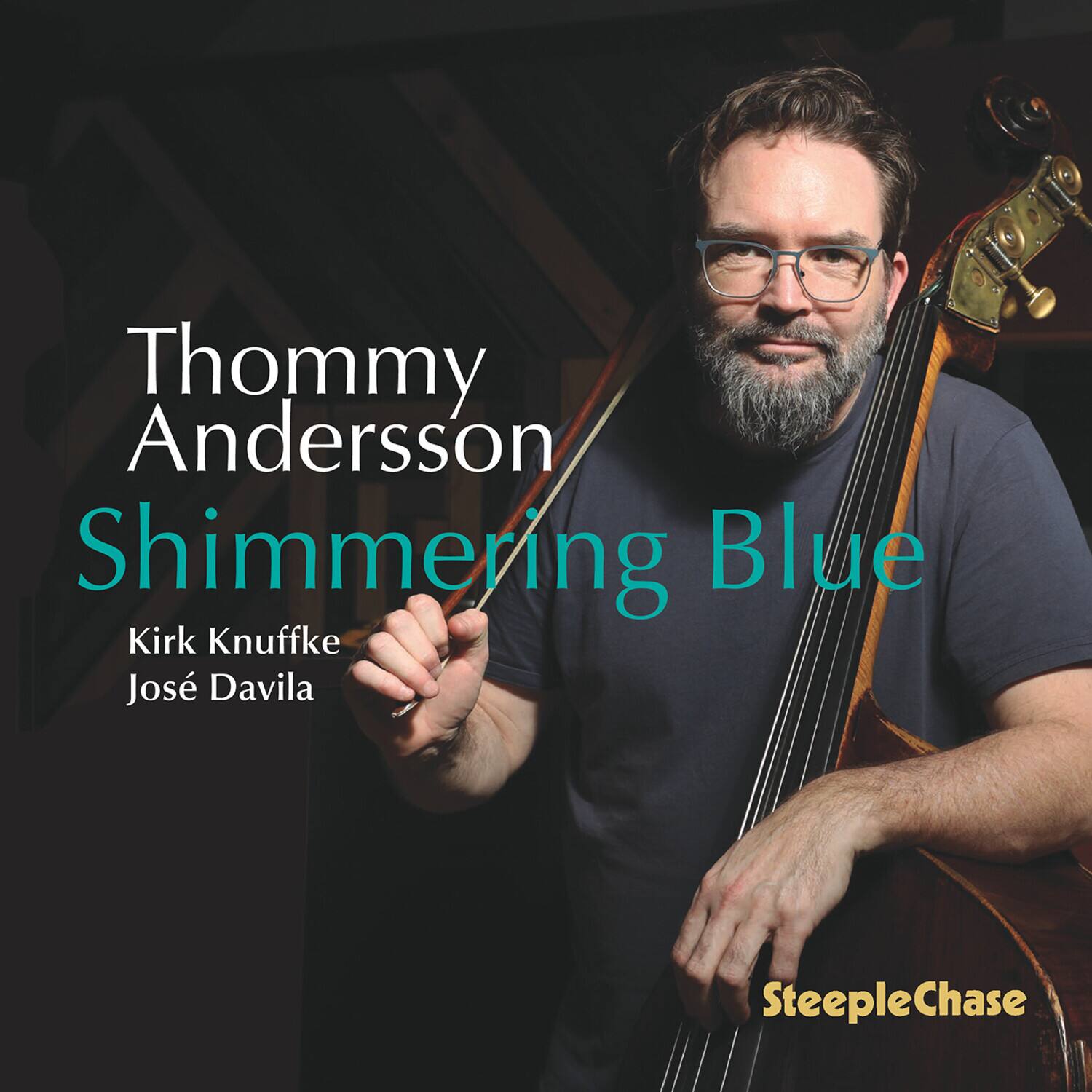 Thommy Andersson - Shimmering Blue   - COMPACT DISCS [CD] price history on PriceWatchPro