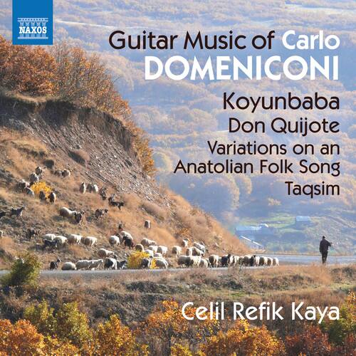 Domeniconi / Kaya - Guitar Music of Carlo Domeniconi   - COMPACT DISCS [CD]