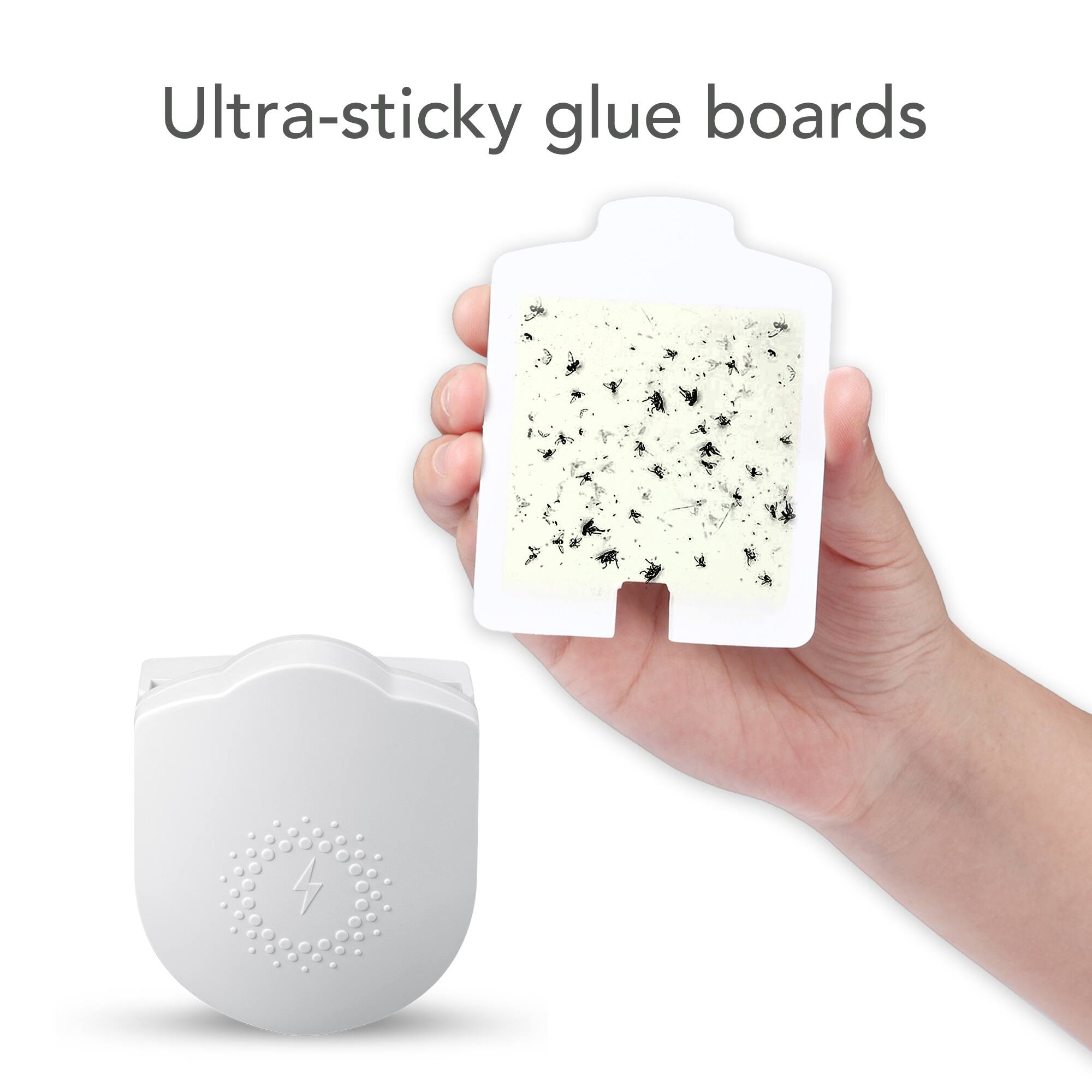 Ultra-sticky glue boards