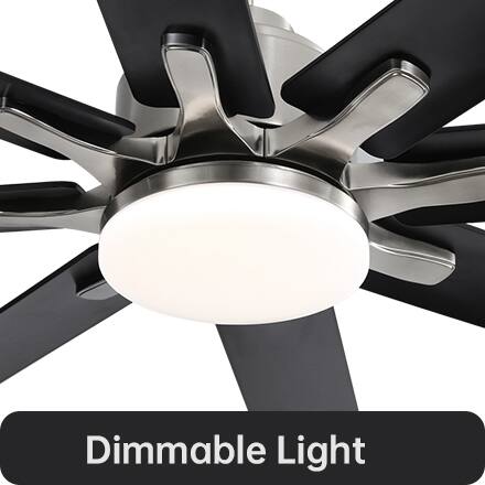 Dimmable Light