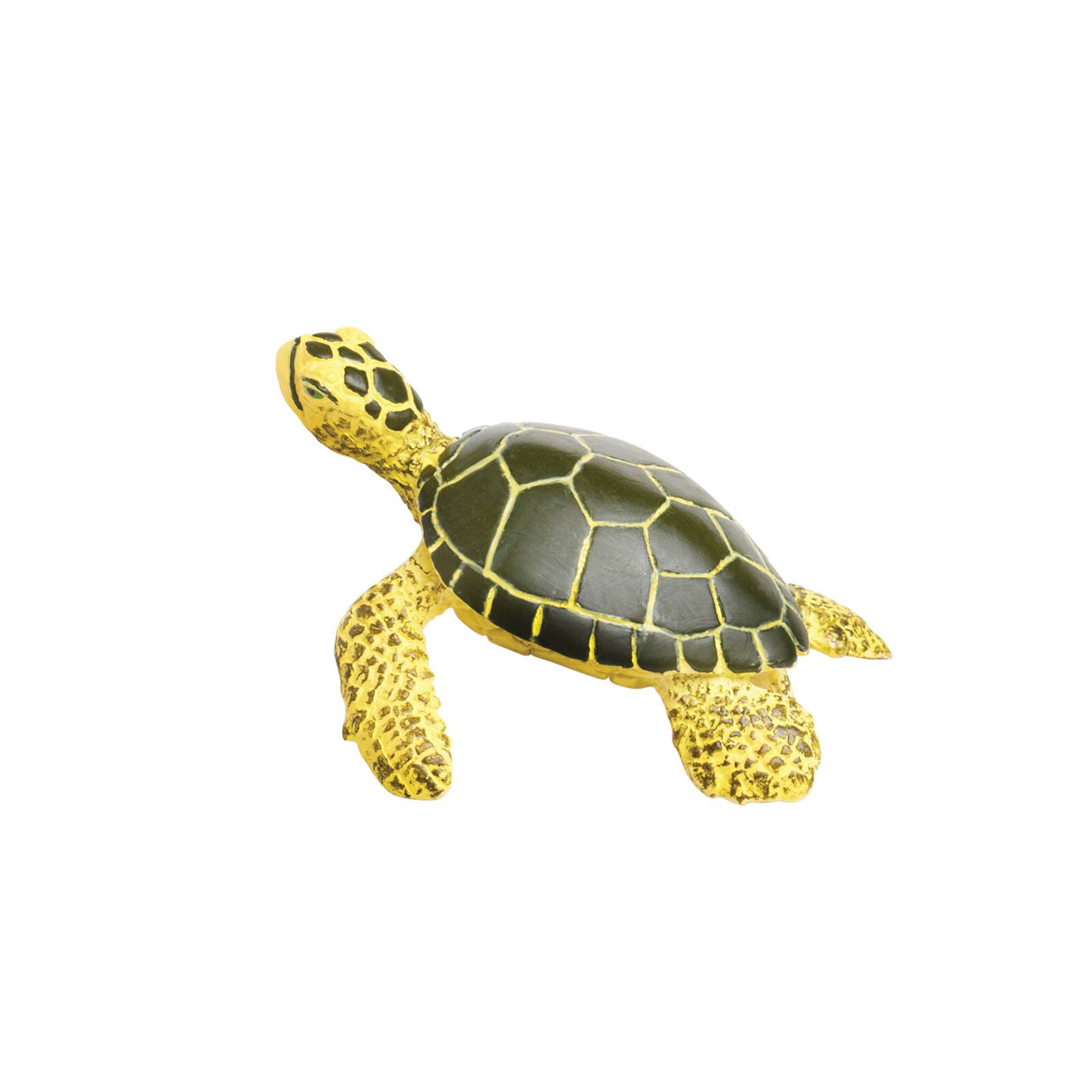 Front. Safari Ltd. - Green Sea Turtle Baby Toy Figurine.