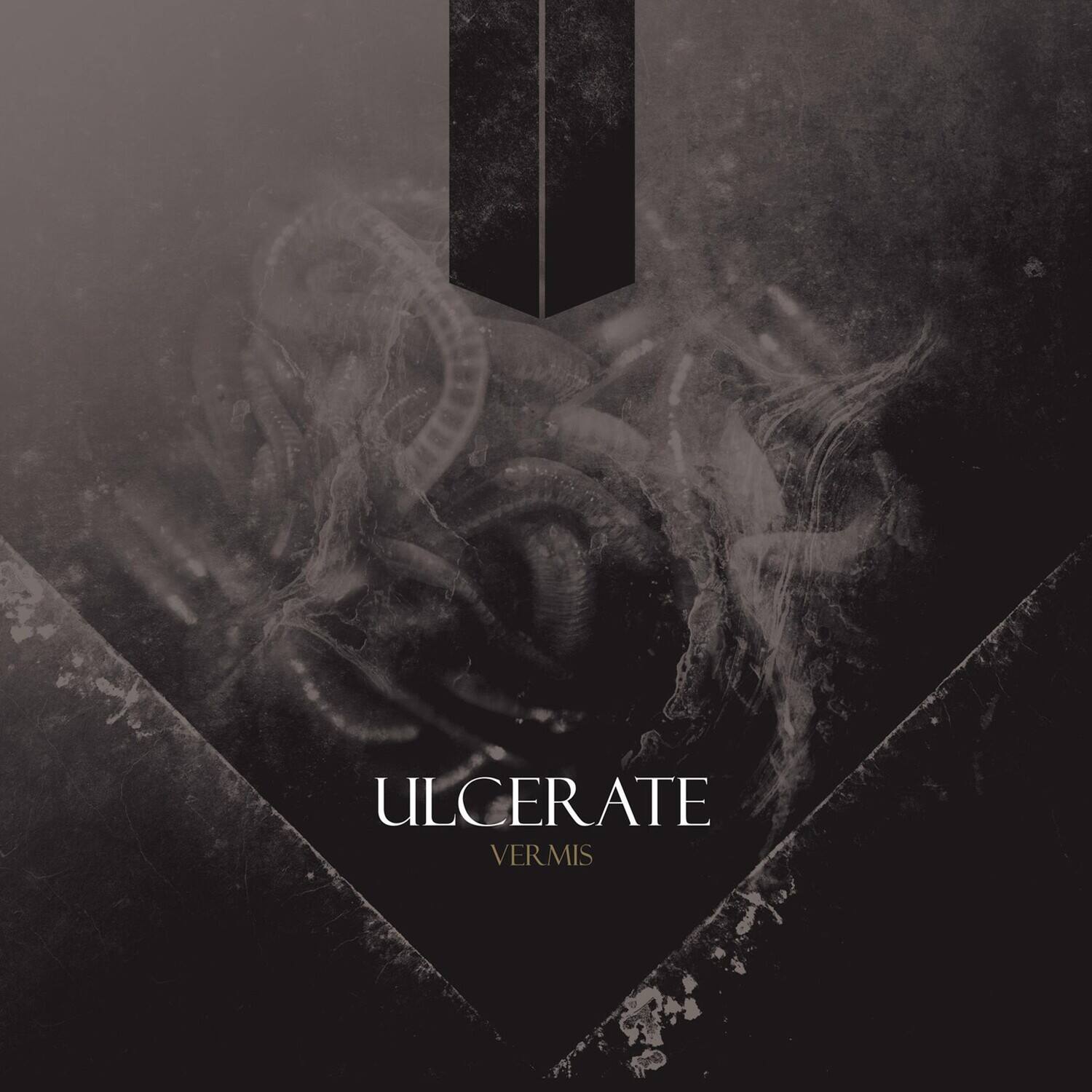 ULCERATE  
VERMIS