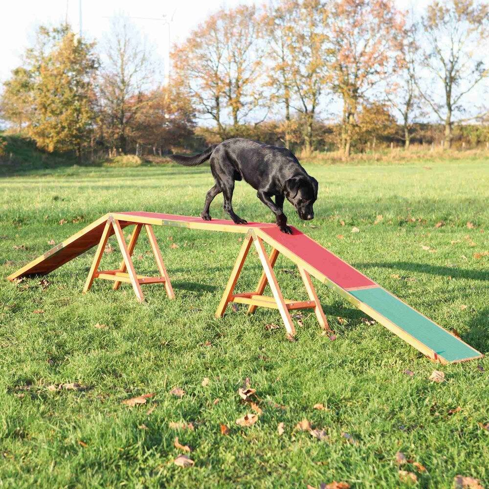 Angle. TRIXIE - Dog Agility Dogwalk, Obstacle Training - Green/Red.