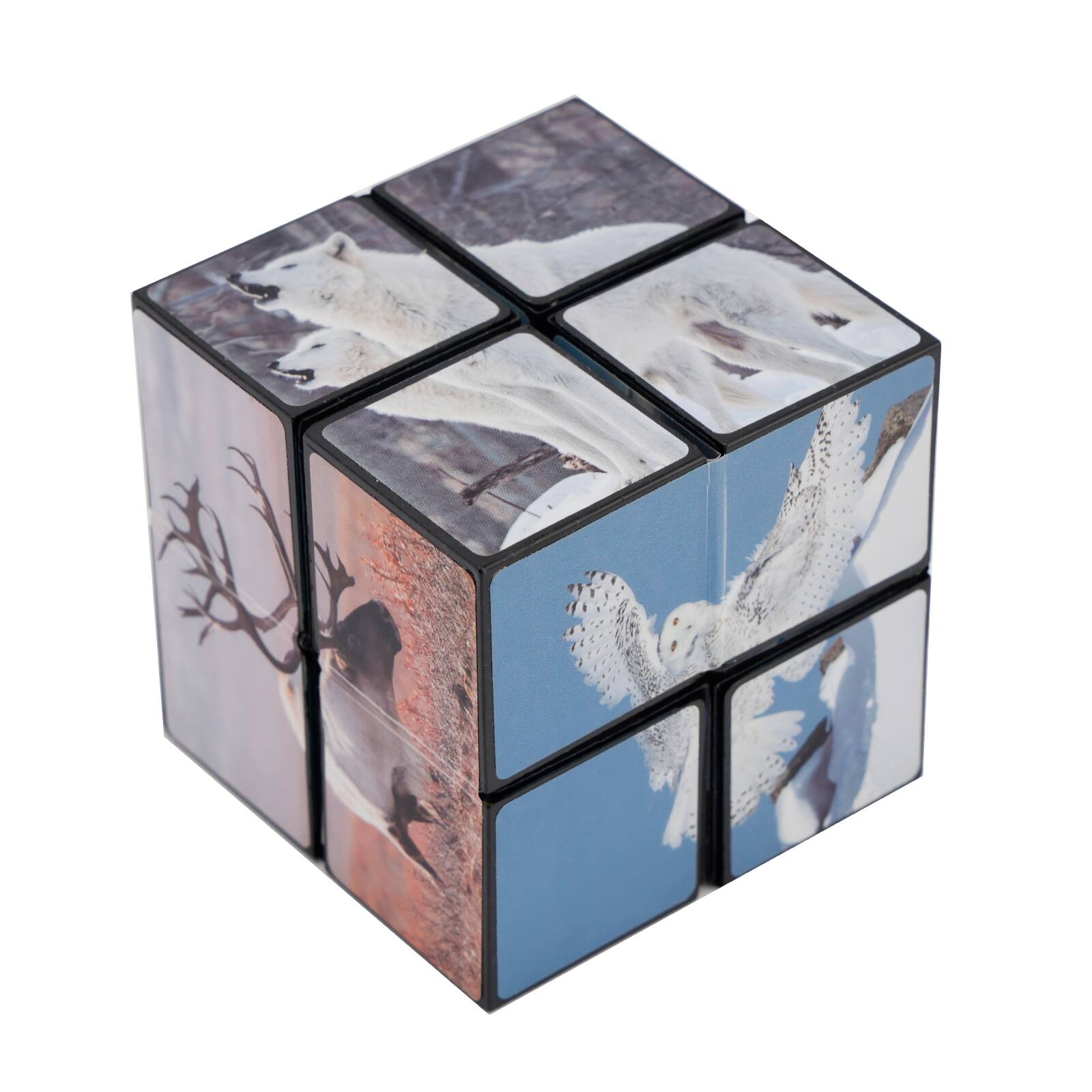 Angle. Topteng - 2-in-1 Transformable Star Magic Cube - North & South Poles Design, Shape-Shifting Puzzle Toy for Kids & Adults.