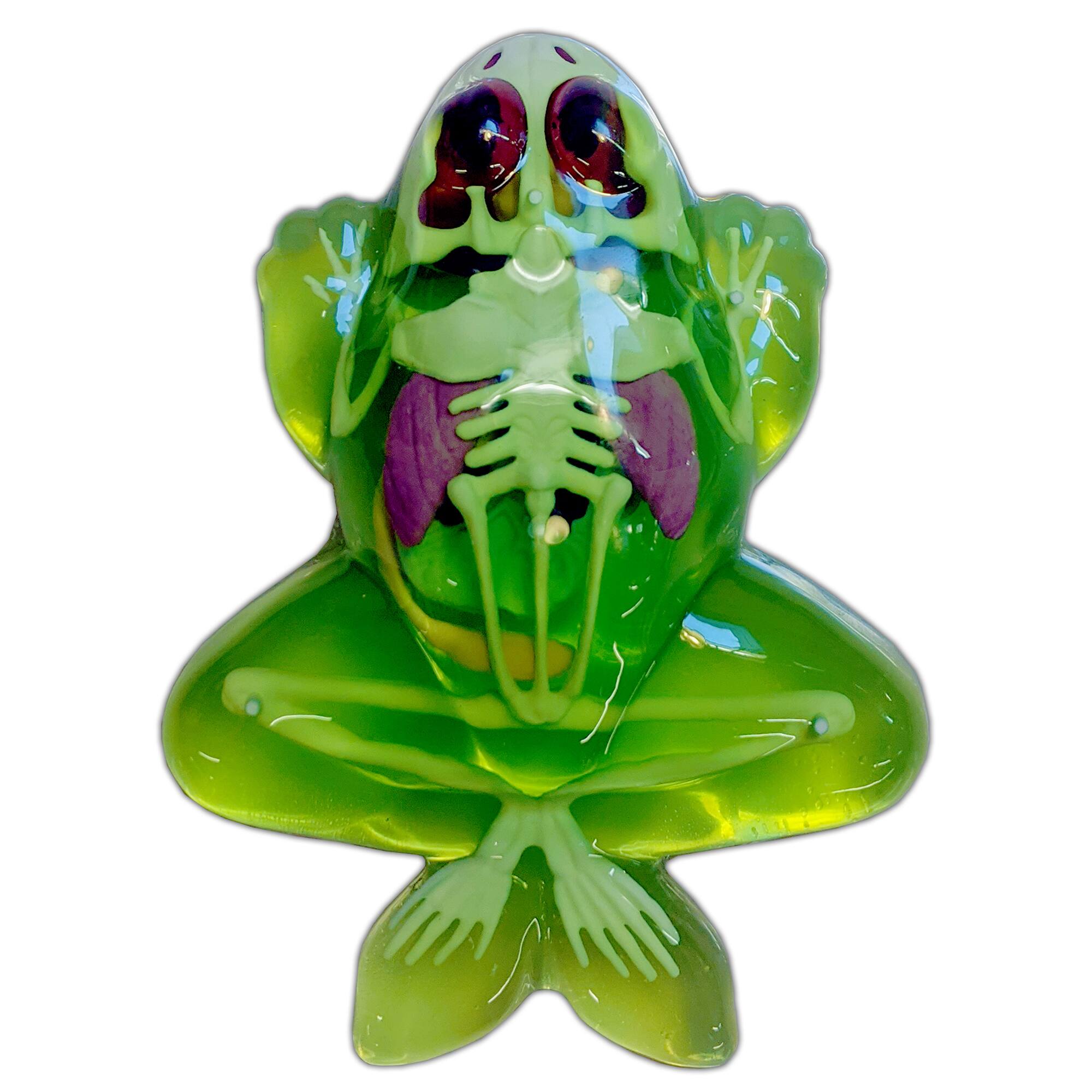 Alt View 3. Top Secret Toys - Dissect-It: Frog Lab.