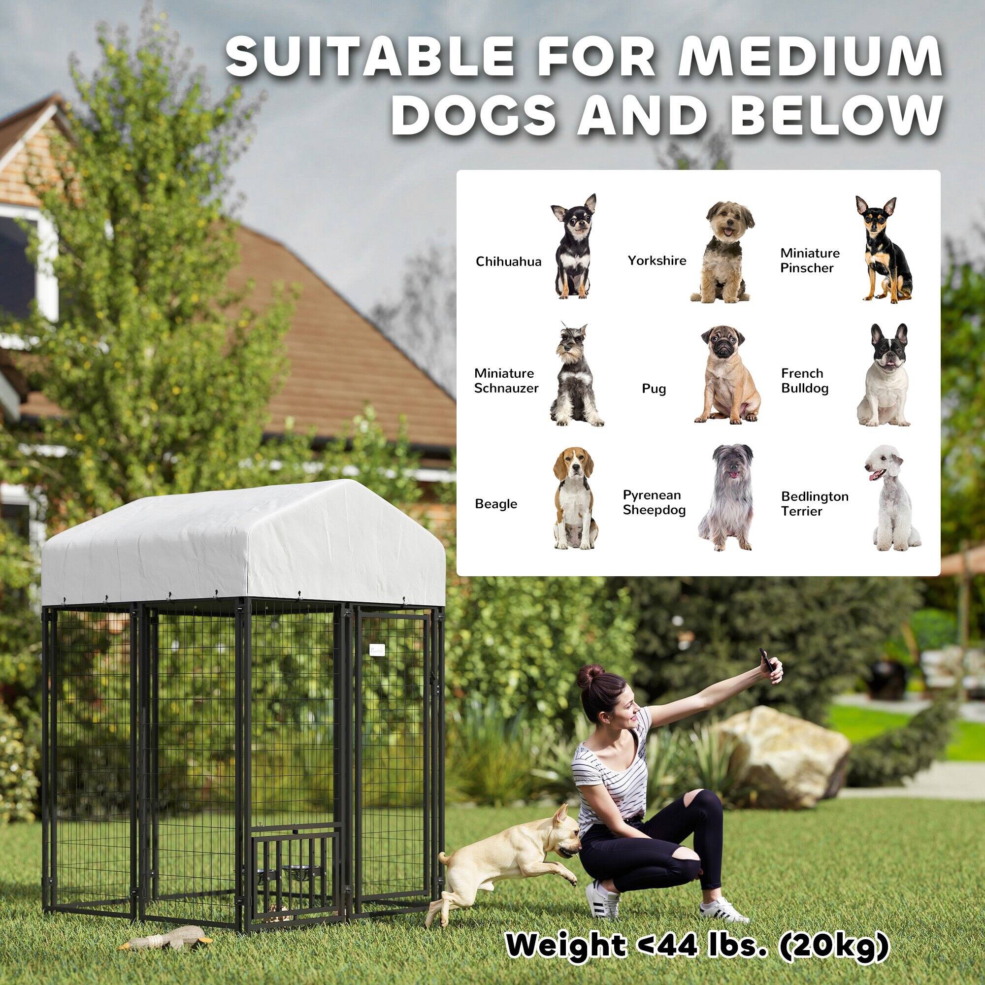 SUITABLE FOR MEDIUM DOGS AND BELOW

Chihuahua  
Yorkshire  
Miniature Pinscher  
Miniature Schnauzer  
Pug  
French Bulldog  
Beagle  
Pyrenean Sheepdog  
Bedlington Terrier  

Weight <44 lbs. (20kg)