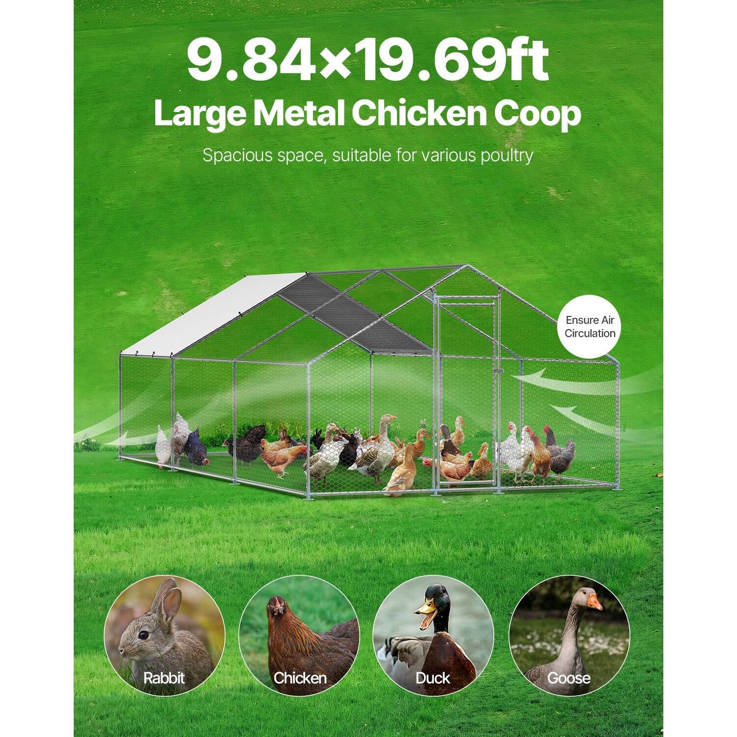 9.84x19.69ft Large Metal Chicken Coop  
Spacious space, suitable for various poultry  
Ensure Air Circulation  

Rabbit  
Chicken  
Duck  
Goose