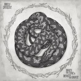Wolf People - When the Fire Is Dead in the Grate - VINYL LP