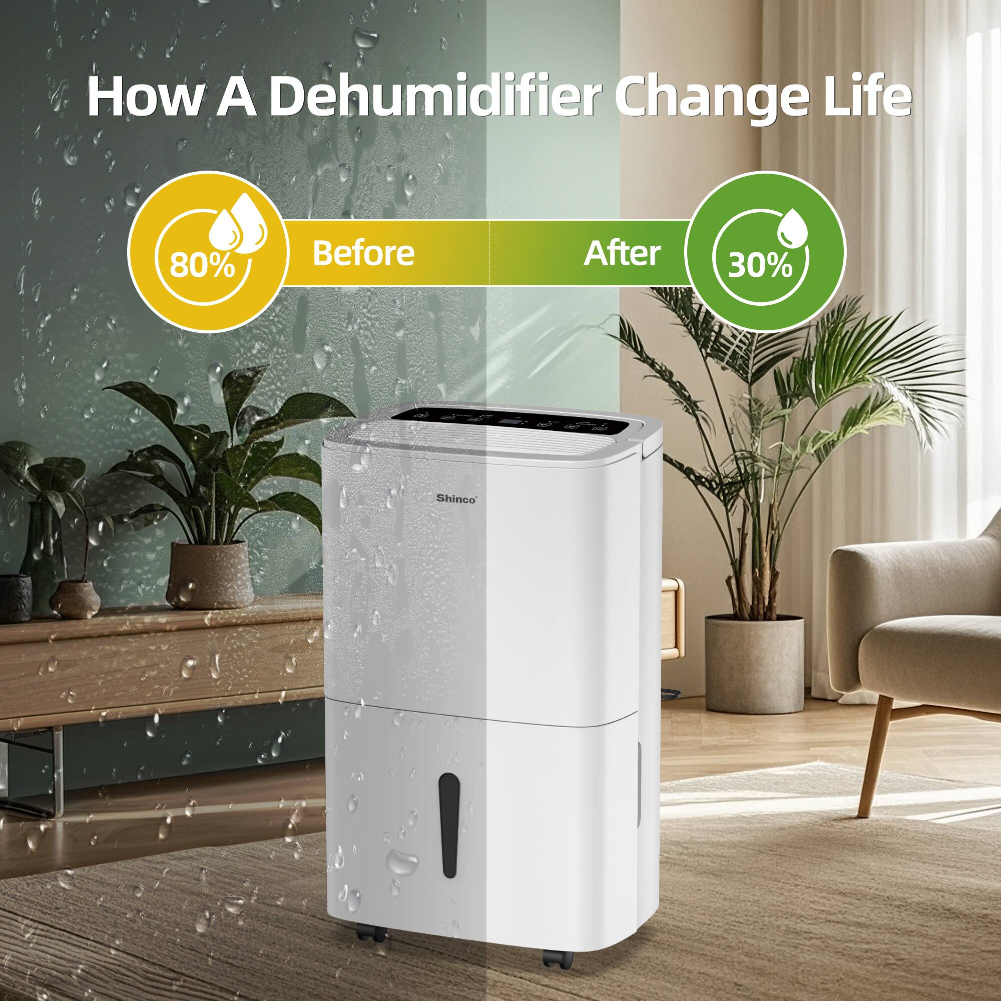 How A Dehumidifier Change Life

Before 80%

After 30%