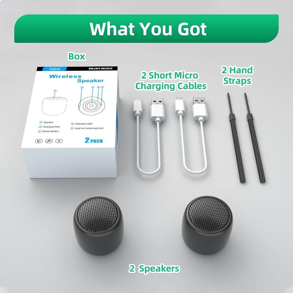 What You Got

- Box
- 2 Speakers
- 2 Short Micro Charging Cables
- 2 Hand Straps