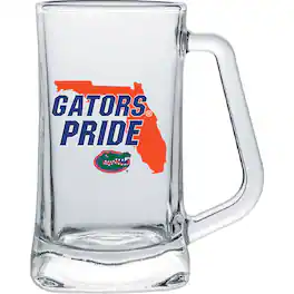 Indigo Falls - Florida Gators 15oz. Hometown Glass Tankard - Multicolor