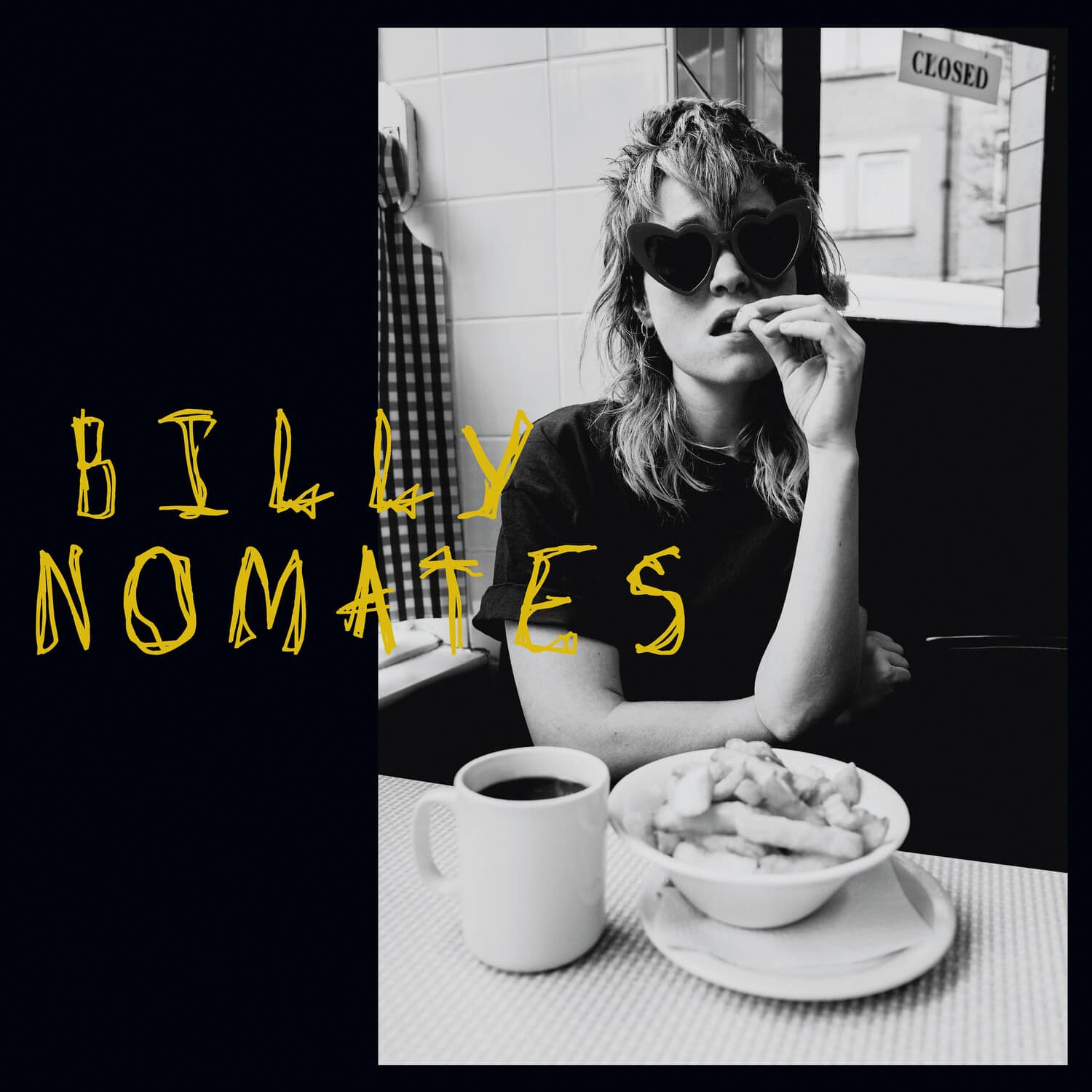 Billy Nomates - Billy Nomates   - VINYL LP price history on PriceWatchPro