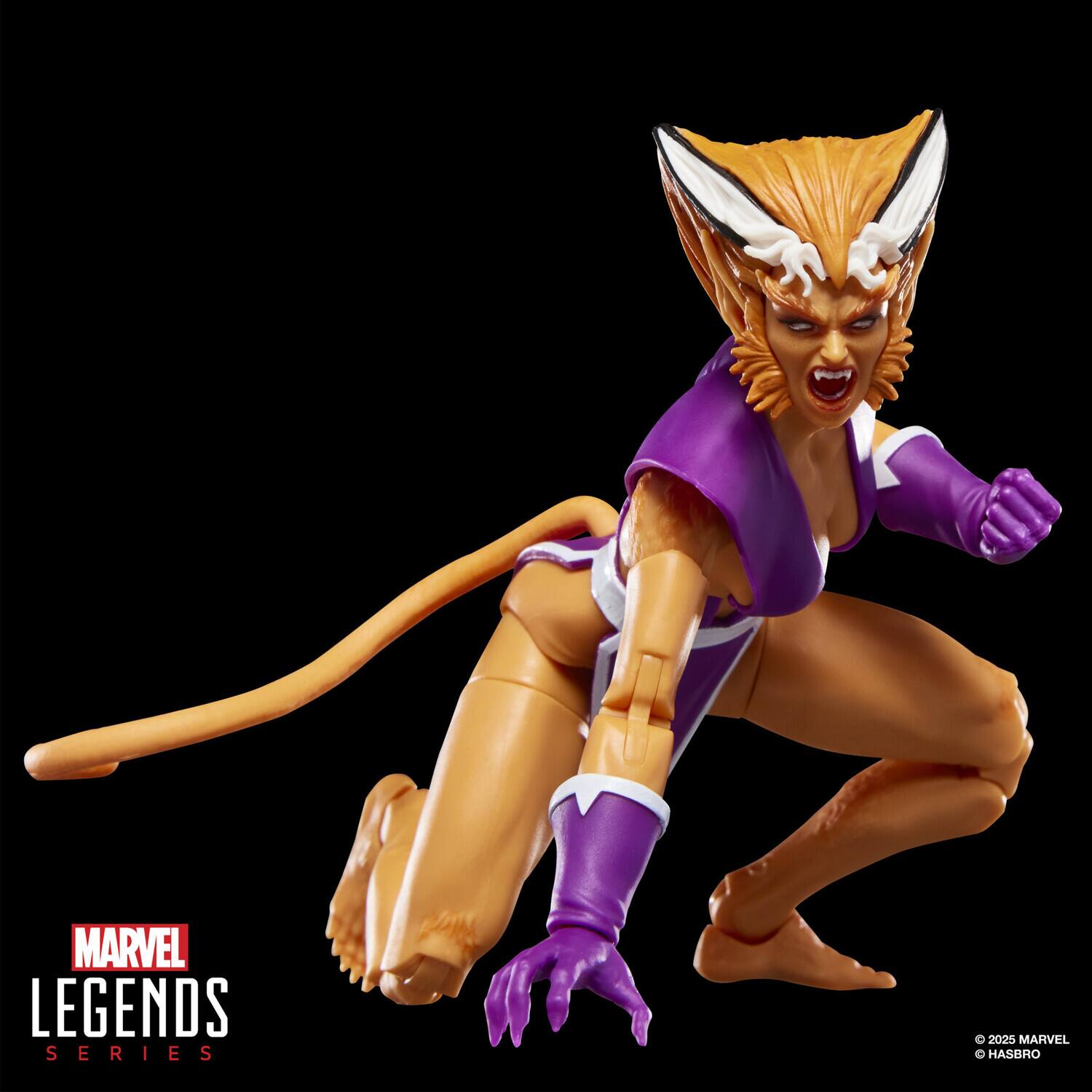 MARVEL LEGENDS SERIES  
© 2025 MARVEL  
HASBRO