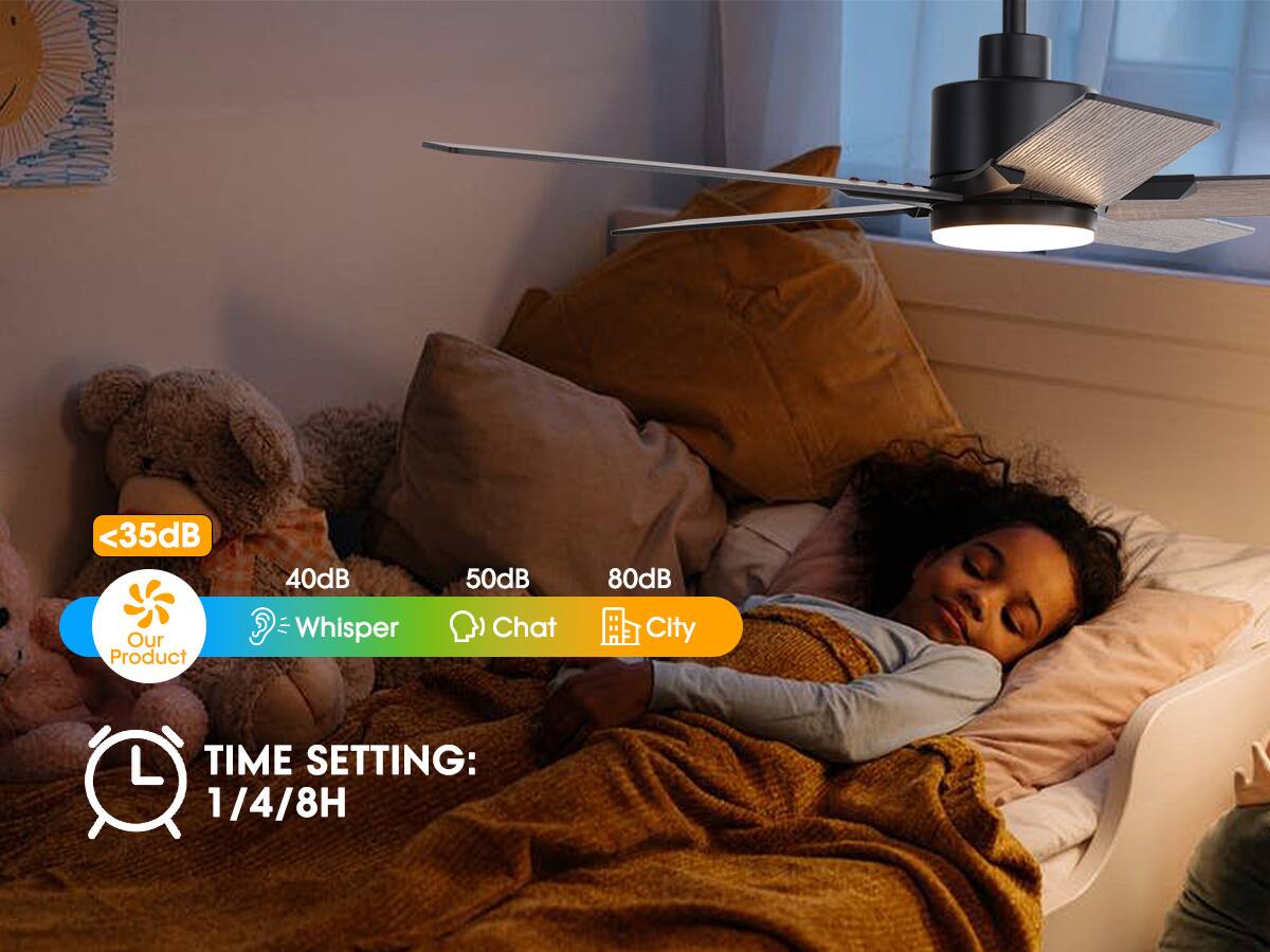 - Our Product
- Whisper Chat City
- <35dB 40dB 50dB 80dB
- TIME SETTING: 1/4/8H