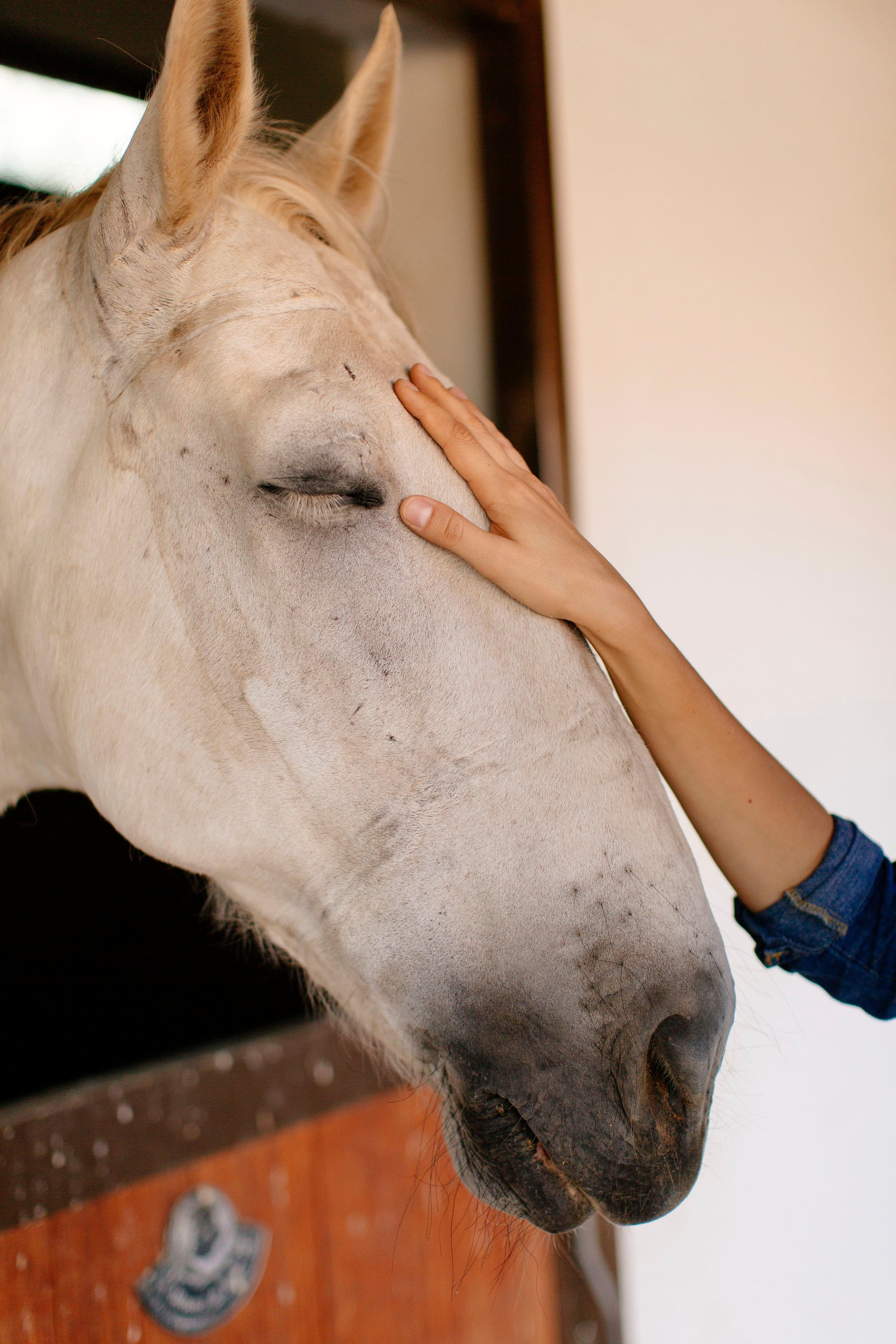 Alt View 11. Polaroid - Hi-Print 2x3 Pocket Generation 2 Photo Printer - White.