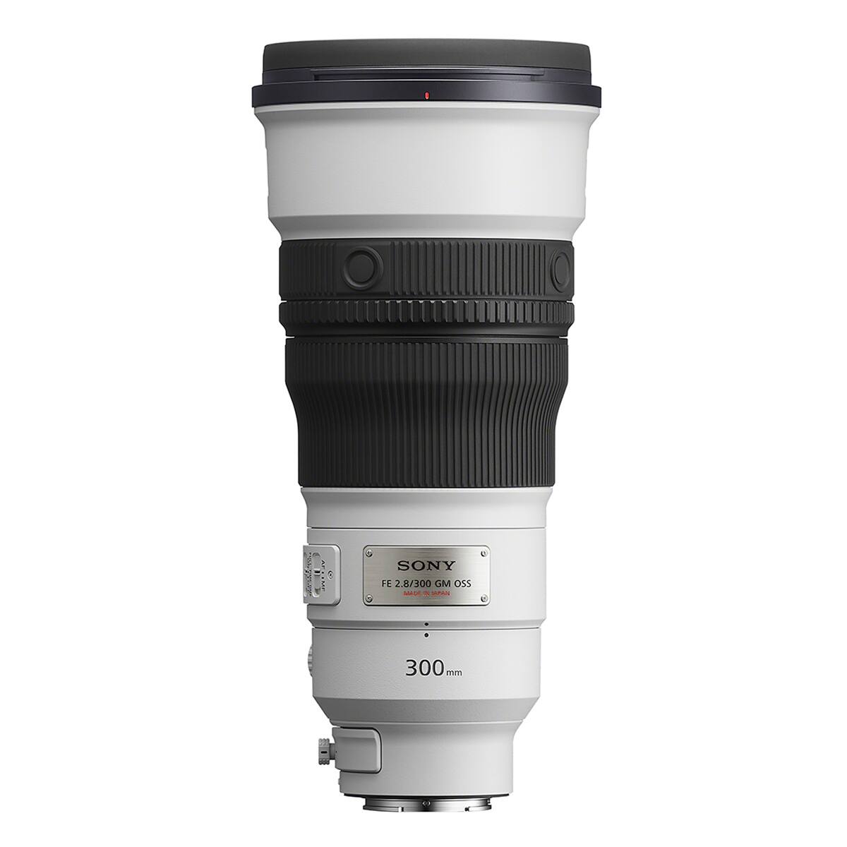 SONY FE 2.8/300 GM OSS - APAN 300mm