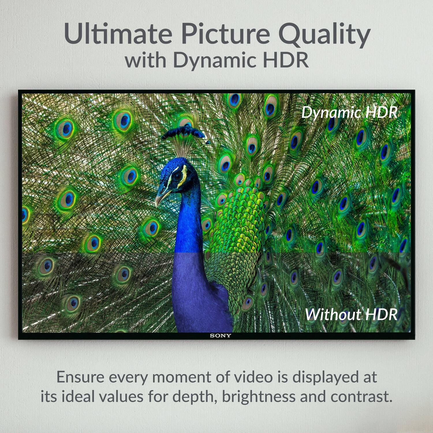 Ultimate Picture Quality with Dynamic HDR

Dynamic HDR  
Without HDR

Ensure every moment of video is displayed at its ideal values for depth, brightness and contrast.