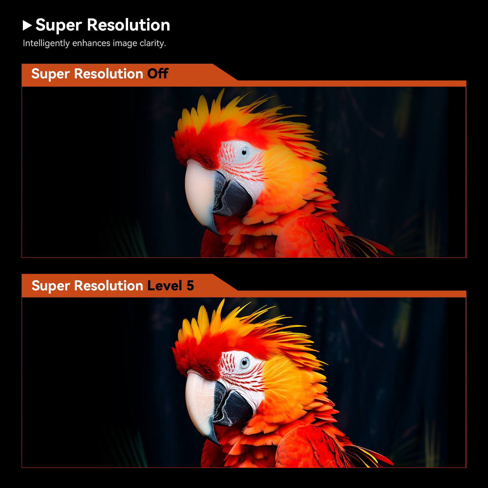 The text on the image can be grouped and corrected as follows:

"Super Resolution Intelligently enhances image clarity. Super Resolution Level 5."