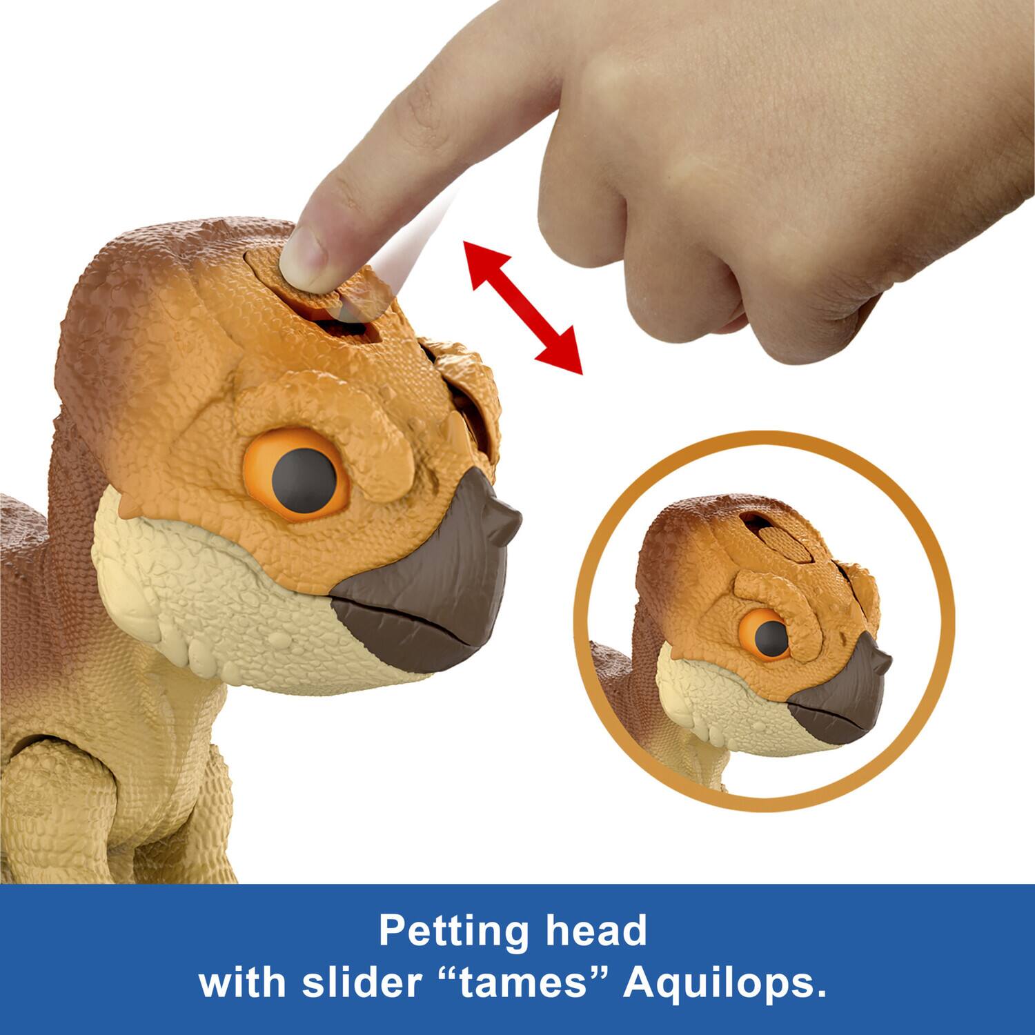 Petting head with slider "tames" Aquilops.