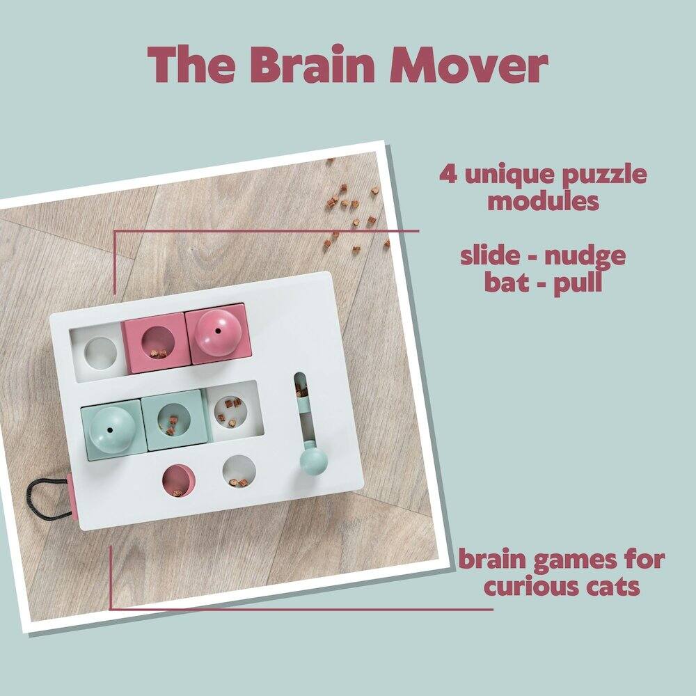 The Brain Mover

4 unique puzzle modules

slide - nudge bat - pull

brain games for curious cats