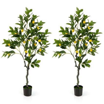 Front. Costway - Costway 2 PCS 4 FT Tall Artificial Lemon Tree with Lemon Fruits, Cement Pot for Porch, Office - Green,Yellow,Black.