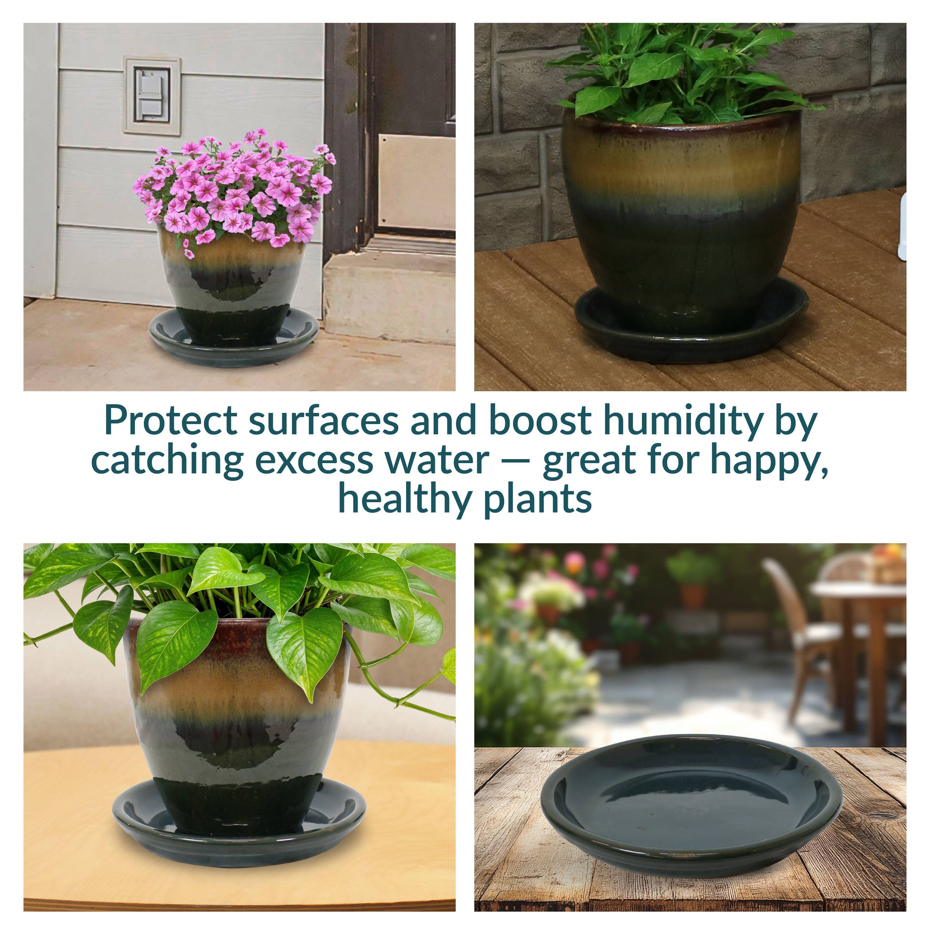 Protect surfaces and boost humidity by catching excess water — great for happy, healthy plants