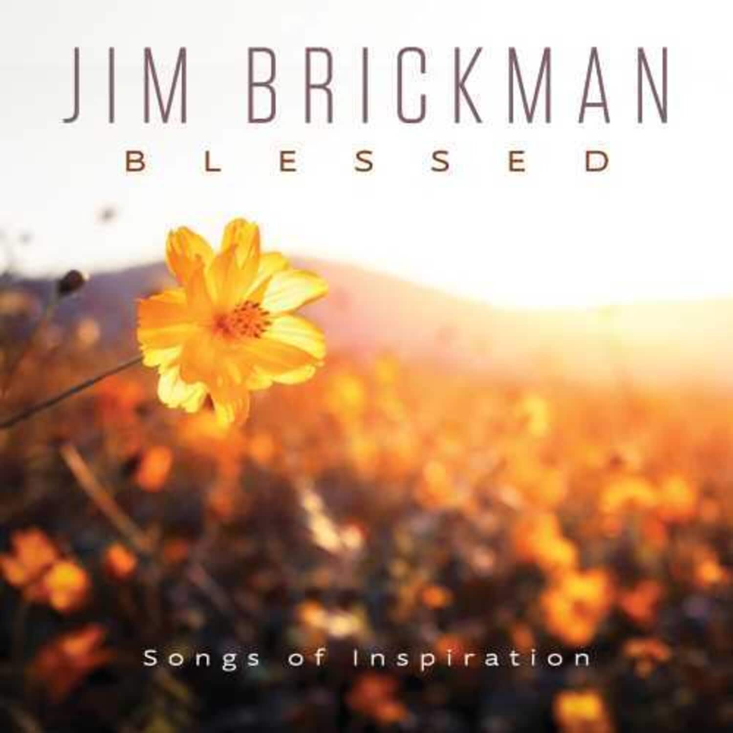 Jim Brickman - Blessed   - COMPACT DISCS [CD]