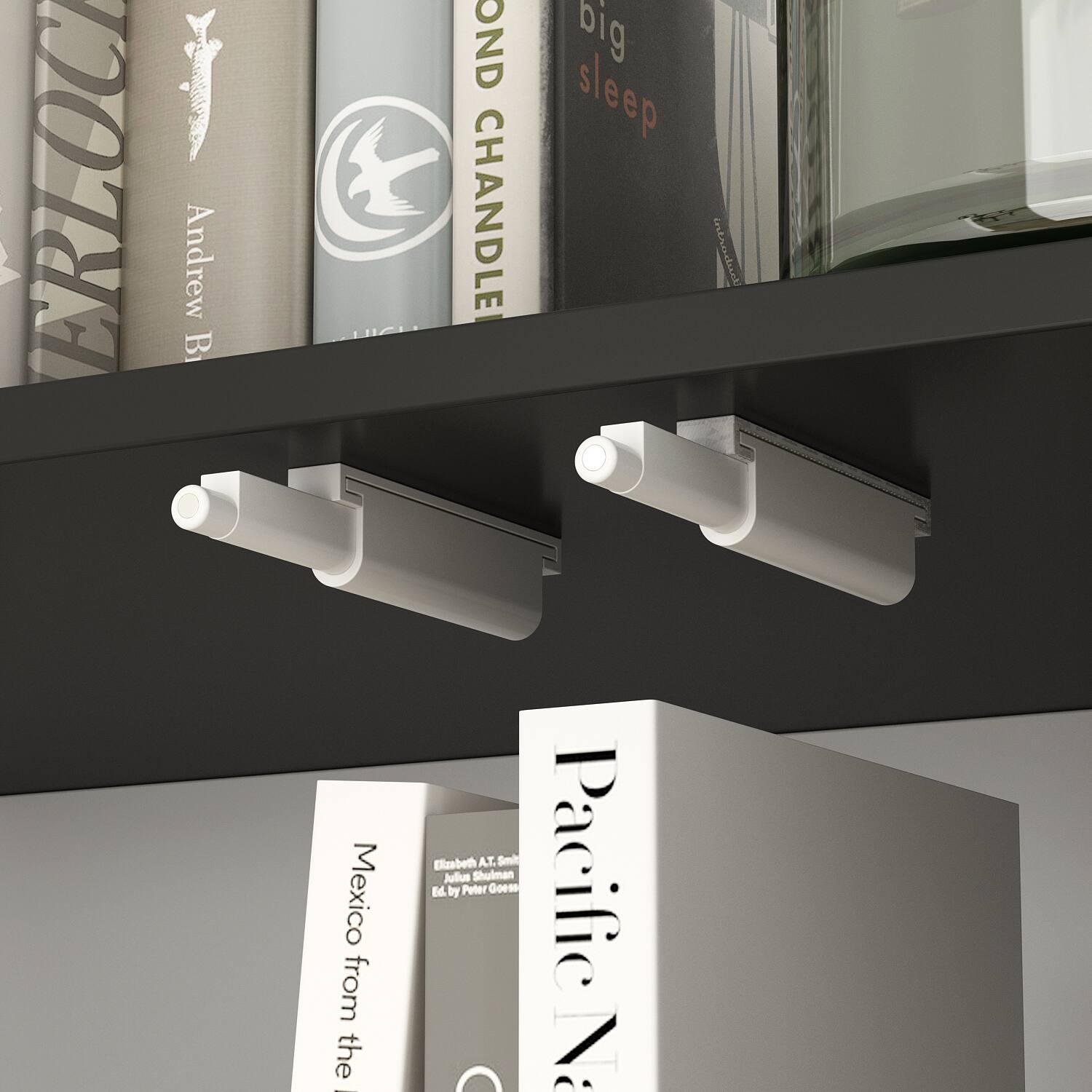 Andrew B. OND CHANDLE big sleep Mexico from the Pacific N